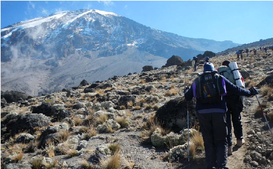 to Climb Mount Kilimanjaro