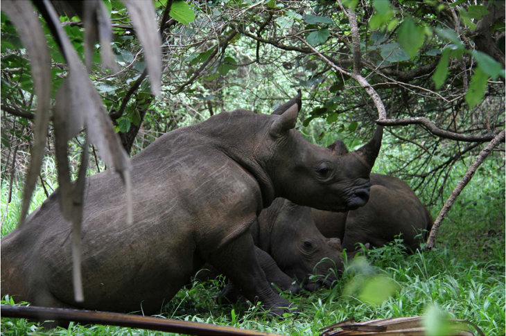 Uganda tours